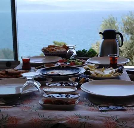 Mavera Restaurant فندق